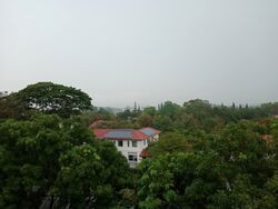 Holland Court (D10), Apartment #568199771